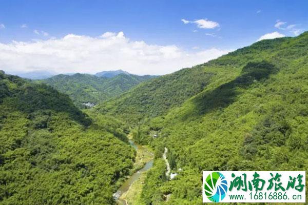 成都竹海在哪里-景点推荐 成都竹海在哪里-景点推荐