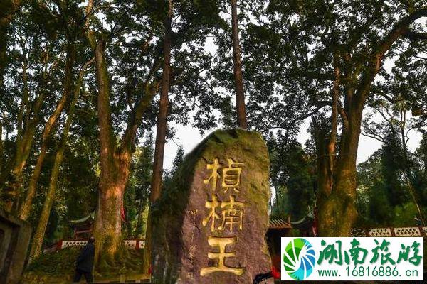 雅安云峰寺游玩攻略2020 雅安云峰寺游玩攻略2020