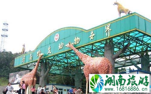 济南野生动物园门票价格+优惠政策+购票方式 济南野生动物园门票价格+优惠政策+购票方式