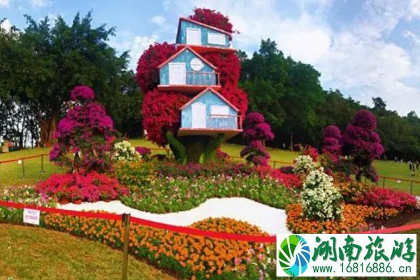 11月广州赏花去哪儿 2022年广州花展时间+地点+门票 11月广州赏花去哪儿 2022年广州花展时间+地点+门票