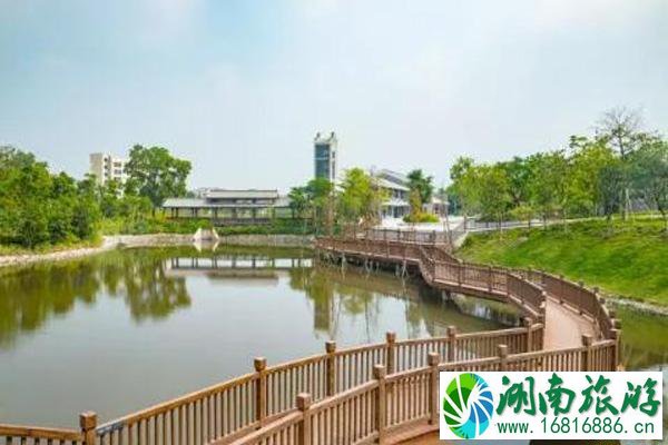深圳簕杜鹃谷免费开放+游玩攻略