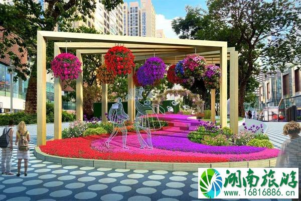 2020深圳市迎春花市中心地址时间+活动介绍 2020深圳市迎春花市中心地址时间+活动介绍