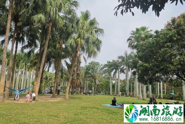 深圳东湖公园游玩攻略 深圳东湖公园游玩攻略