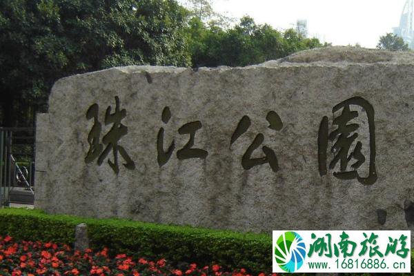 2021广州珠江公园紫荆花开了吗 广州珠江公园紫荆花最佳观赏时间