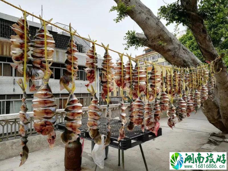 广东小众海岛珠海桂山岛-深圳,珠海出发怎么去 广东小众海岛珠海桂山岛-深圳,珠海出发怎么去