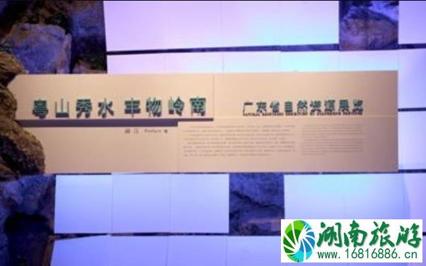 广州2021暑假展览