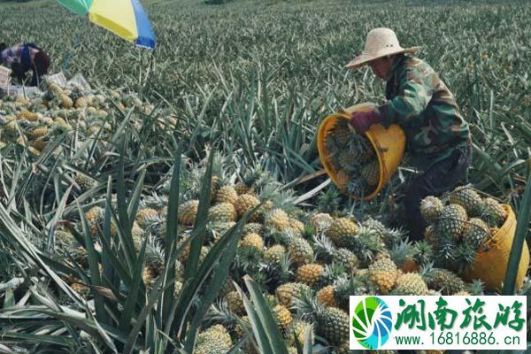 广州周边游 广东有哪些好玩的景点 广州周边游 广东有哪些好玩的景点
