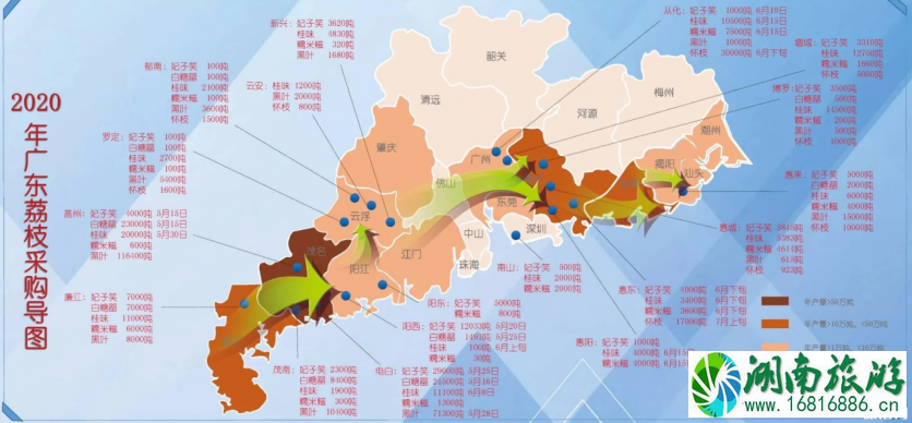 2020深圳南山荔枝上市时间及价格 2020深圳南山荔枝上市时间及价格
