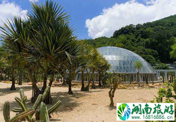 五一深圳仙湖植物园要预约吗-停车预约指南 五一深圳仙湖植物园要预约吗-停车预约指南