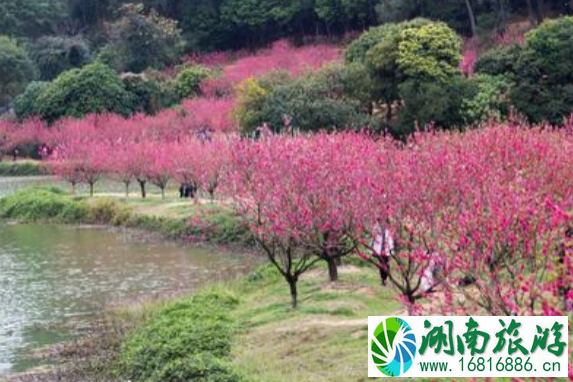 2021年佛山宗教场所开放情况调整 佛山寺庙什么时候恢复开放