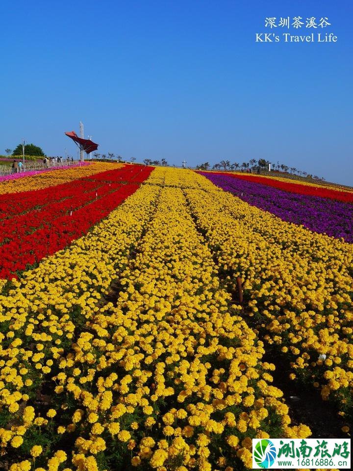 深圳有哪些旅游景点 深圳两日游攻略 深圳有哪些旅游景点 深圳两日游攻略