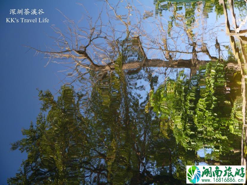 深圳有哪些旅游景点 深圳两日游攻略 深圳有哪些旅游景点 深圳两日游攻略
