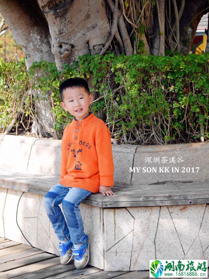 深圳有哪些旅游景点 深圳两日游攻略 深圳有哪些旅游景点 深圳两日游攻略