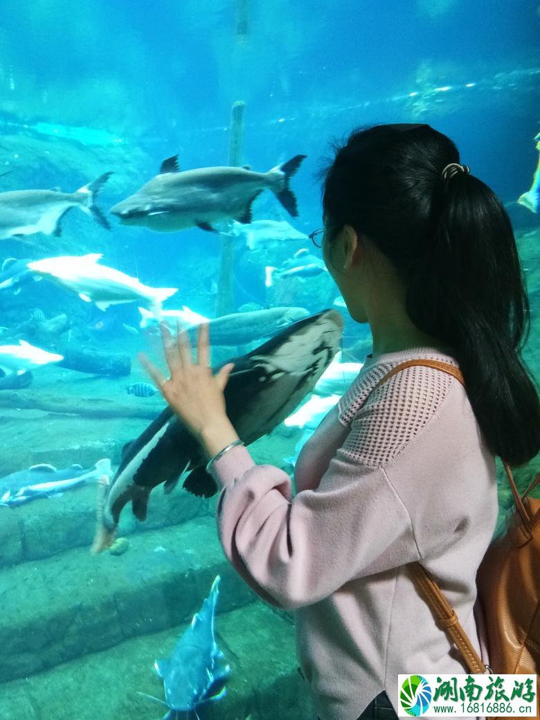 珠海两日游攻略 珠海两日游旅游攻略 珠海两日游攻略 珠海两日游旅游攻略