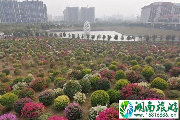 惠州千花洲门票多少钱在哪里及游玩攻略