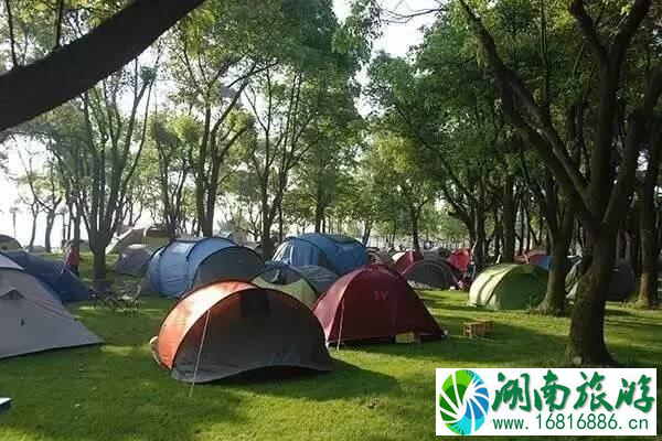 郑州露营场地推荐+交通 郑州露营场地推荐+交通