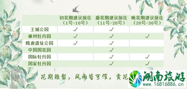 洛阳一日游攻略 洛阳牡丹花期时间 洛阳一日游攻略 洛阳牡丹花期时间