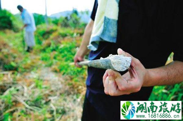 洛阳必去景点攻略 洛阳交通指南 洛阳必去景点攻略 洛阳交通指南