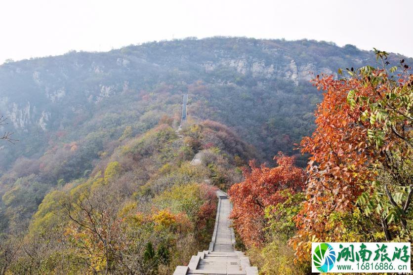 为什么要去嵩山 中岳嵩山有哪些景区 为什么要去嵩山 中岳嵩山有哪些景区