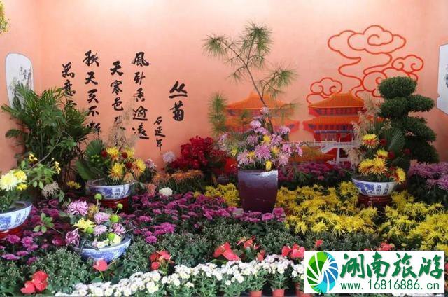 2022开封清明上河园菊花展+宋都皇城旅游度假区大巡游路线信息