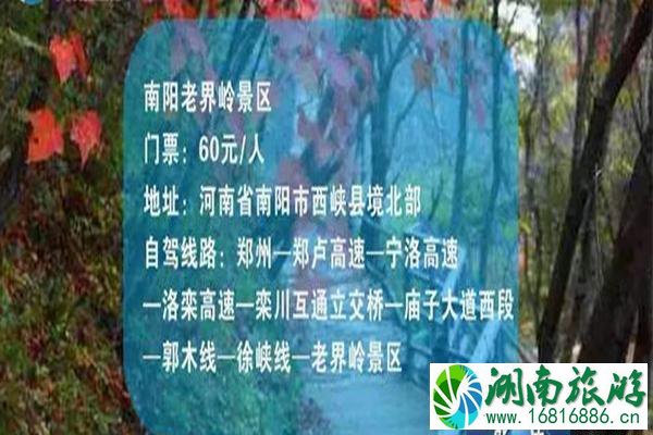 河南10月赏秋好去处 青天河+老界岭+木札岭 河南10月赏秋好去处 青天河+老界岭+木札岭