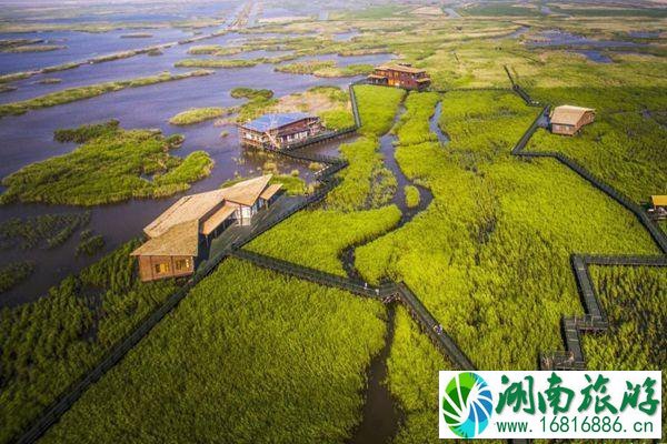 2021年9月上海西沙湿地公园临时闭园6天 2021年9月上海西沙湿地公园临时闭园6天