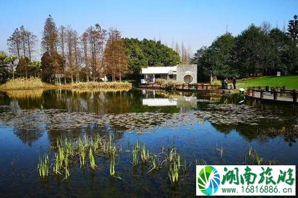 2021教师节上海植物园持教师凭证免票 2021教师节上海植物园持教师凭证免票