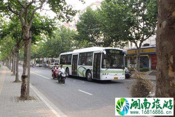 9月上海公交恢复运行及调整线路汇总 9月上海公交恢复运行及调整线路汇总