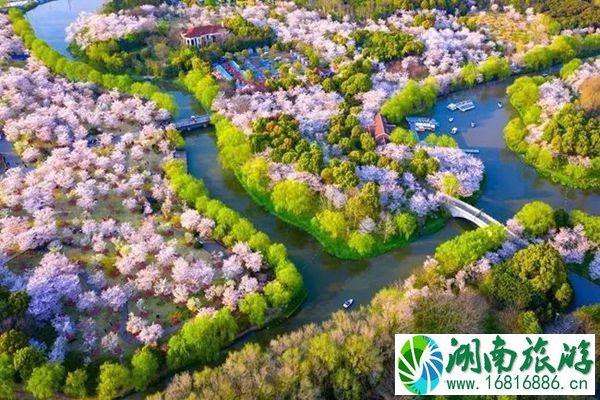 2021上海顾村公园门票多少钱-开放时间-交通指南 2021上海顾村公园门票多少钱-开放时间-交通指南
