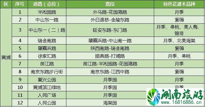 上海打造118条花道 上海全市各区域花道汇总 上海打造118条花道 上海全市各区域花道汇总