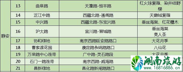 上海打造118条花道 上海全市各区域花道汇总 上海打造118条花道 上海全市各区域花道汇总
