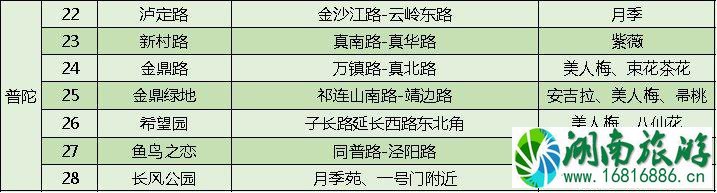 上海打造118条花道 上海全市各区域花道汇总 上海打造118条花道 上海全市各区域花道汇总