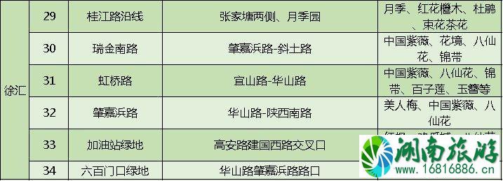 上海打造118条花道 上海全市各区域花道汇总 上海打造118条花道 上海全市各区域花道汇总