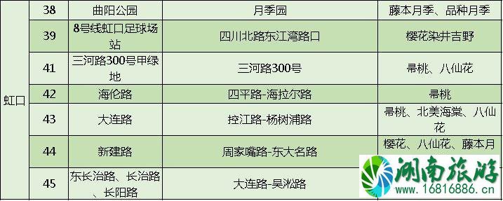 上海打造118条花道 上海全市各区域花道汇总 上海打造118条花道 上海全市各区域花道汇总