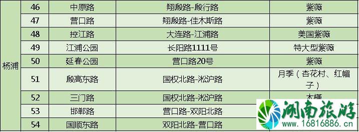 上海打造118条花道 上海全市各区域花道汇总 上海打造118条花道 上海全市各区域花道汇总