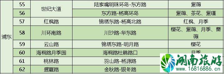 上海打造118条花道 上海全市各区域花道汇总 上海打造118条花道 上海全市各区域花道汇总