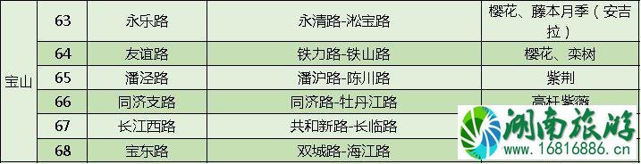 上海打造118条花道 上海全市各区域花道汇总 上海打造118条花道 上海全市各区域花道汇总