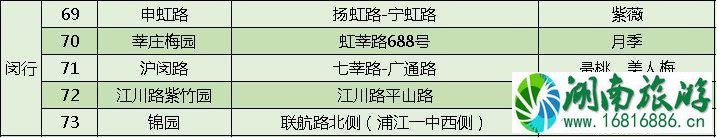 上海打造118条花道 上海全市各区域花道汇总 上海打造118条花道 上海全市各区域花道汇总
