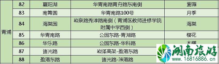 上海打造118条花道 上海全市各区域花道汇总 上海打造118条花道 上海全市各区域花道汇总
