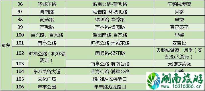 上海打造118条花道 上海全市各区域花道汇总 上海打造118条花道 上海全市各区域花道汇总