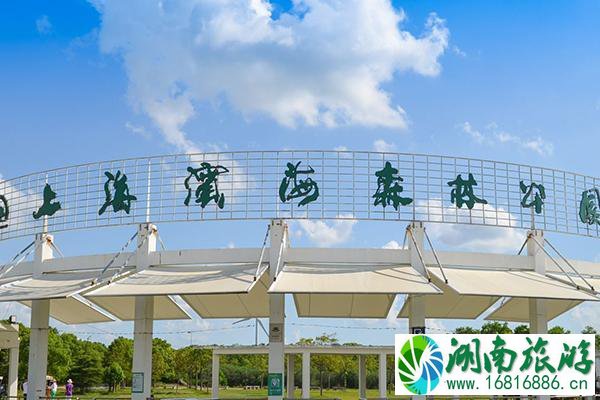 2021上海滨海森林公园2月5日起暂时闭园公告