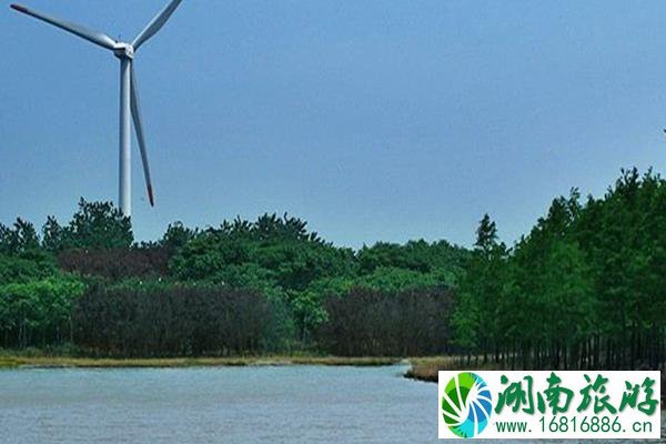 2021上海滨海森林公园2月5日起暂时闭园公告
