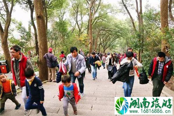 上海佘山元旦登高活动报名 上海佘山元旦登高活动报名