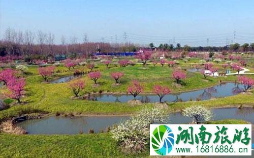 2022上海金山田野百花节门票价格+时间+地址 2022上海金山田野百花节门票价格+时间+地址