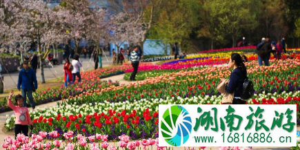 2022上海国际花展门票价格+时间+地点 2022上海国际花展门票价格+时间+地点