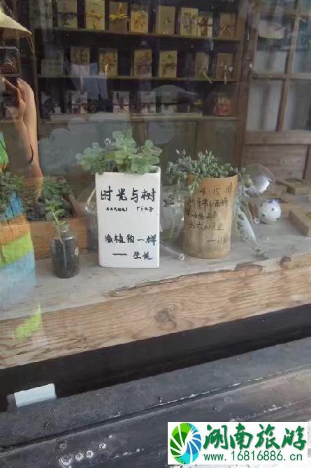 上海游记感受 上海游记攻略 上海游记感受 上海游记攻略