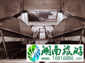 上海游记感受 上海游记攻略 上海游记感受 上海游记攻略