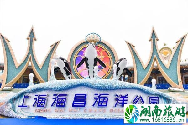 上海海昌海洋公园住宿门票攻略 上海海昌海洋公园住宿门票攻略
