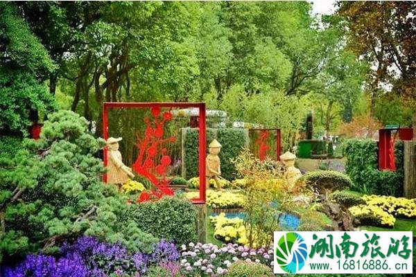 2022上海菊花展什么时候 上海有哪里举办菊花展
