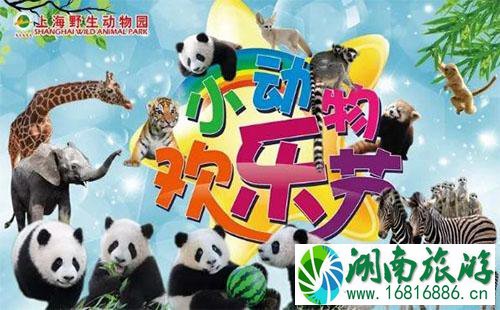 2022六一儿童节上海野生动物园有什么活动 2022六一儿童节上海野生动物园有什么活动